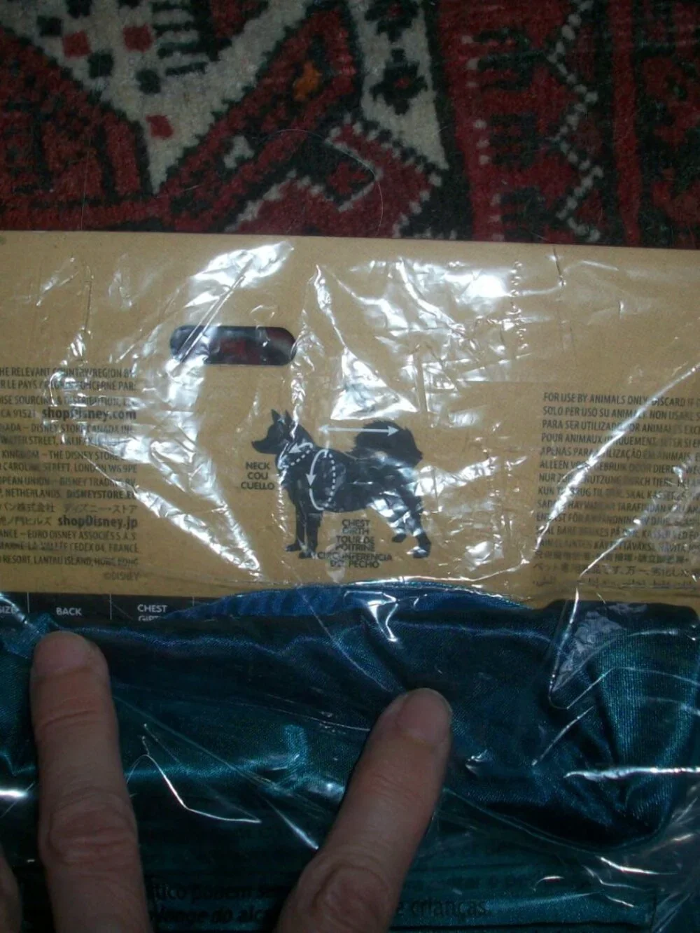 Disney brand new